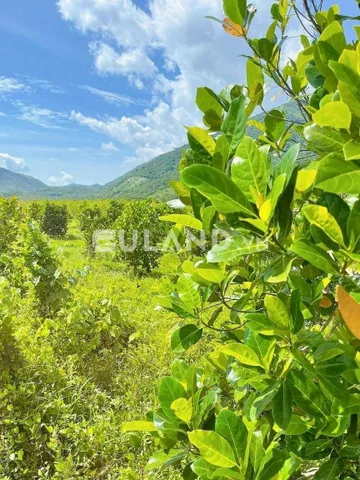 0938113403 Bán đất 15000m² ngang 15m giá 1.95 tỷ tại Xã Ninh Hưng Thị xã Ninh Hòa cn miss