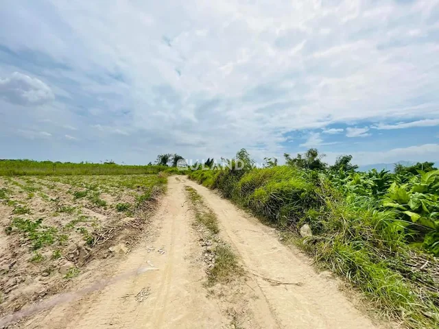 Buôn sim, Ninh tây. Tổng diện tích 1ha với 100m mặt tiền đường ô tô vào tận đất,mặt sau bám suối 100m. Loại đất chn quy hoạch cln.  Giá 1ti3 thương lượng