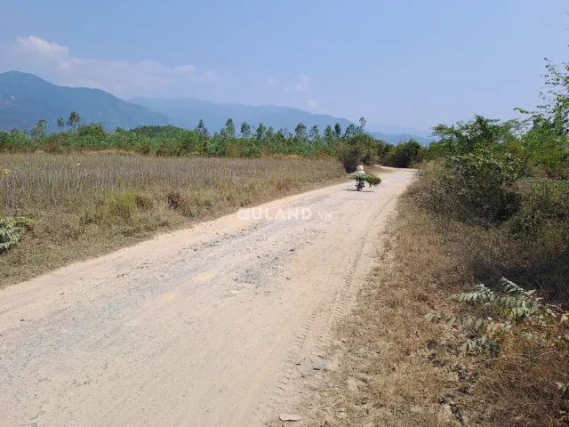 Đất QH thổ 150m ngang 2Ha Buôn Lác, Ninh Tây, Ninh Hoà Đất 2 MT( mặt chính 150m ngang đường đất 7m QH thổ, mặt phụ ngang 175m đường đất 3m.