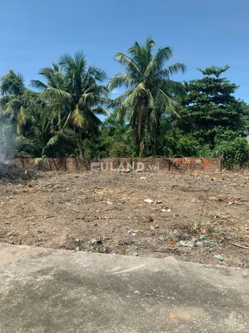 BÁ.N ĐẤT NGÕ 19 BÃI MUỐI,CAO THẮNG,HẠ LONG,QUẢNG NINH