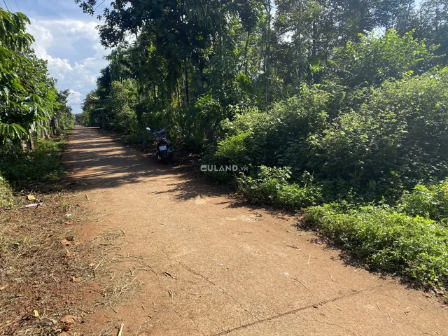 Bán đất 125m² ngang 5m giá 1.38 tỷ tại Xã Ea Tu Thành phố Buôn Ma Thuột 09/08/2025