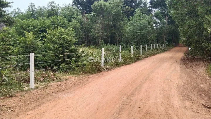 Bán 10 mẫu đất nông nghiệp có quy hoạch đất ở ONT, mặt tiền đường đất 1km