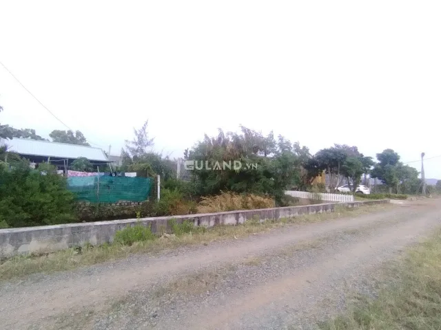 Bán đất vườn nghỉ Dưỡng p12 tp Vũng Tàu đường đê Hải Đăng