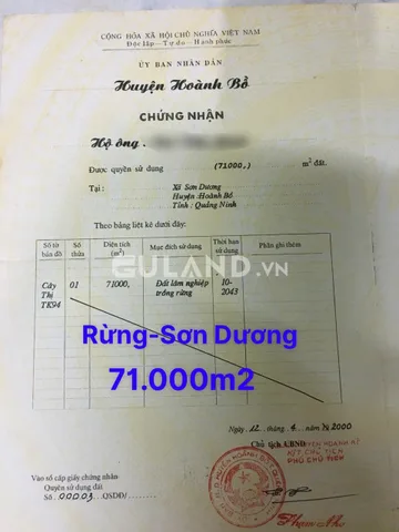ĐẤT TRỒNG RỪNG - XÃ SƠN DƯƠNG