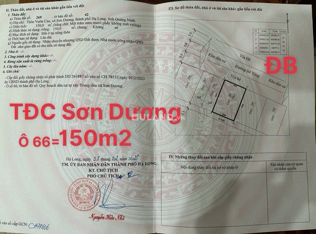 TĐC VƯỜN CAU - SƠN DƯƠNG