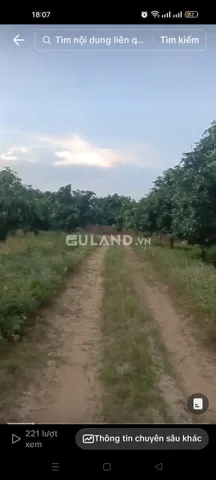 Bán đất full vườn cây ăn trái 90000m² 54 tỷ tại Xã Tân Phúc Huyện Hàm Tân