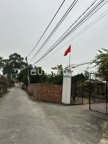 Ngõ oto chỉ vài trăm triệu hơn trăm mét