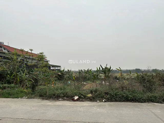 QH Cầu Ván, Phong Hải
