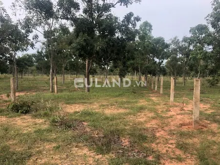 Bán đất 7695m² ngang 27m giá 27 tỷ tại Xã Phước Khánh Huyện Nhơn Trạch