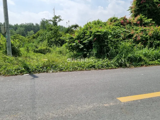 (S197) Đất mặt tiền đường Bến Đình, xã An Nhơn Tây, dt 211m2, full thổ cư, chỉ 1 tỷ 280