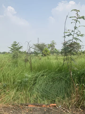 Bán đất chính chủ