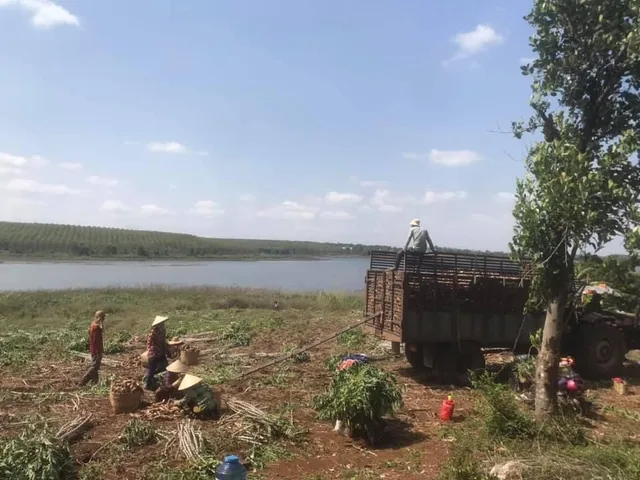 BÁN ĐẤT VIEW NGHỈ DƯỠNG - Ở - KINH DOANH KHÁCH SẠN CHO SÂN BAY LONG THÀNH