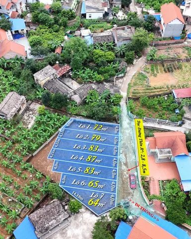 hàng fo. chỉ từ 390 triệu , diện tích 60m2 trở lên. xã Chính Mỹ. Thủy Nguyên.