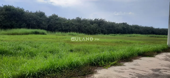 Bán  đất thổ cư 340m² , giá 1.5 tỷ tại đường Tỉnh lộ 750, Xã Trừ Văn Thố, Huyện Bàu Bàng, Bình Dương