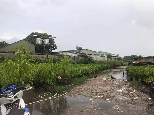 Bán lô đất giáo dục đường Phan Huy Ích, mặt tiền sông Vàm Thuận, tương lại 3 mặt tiền.