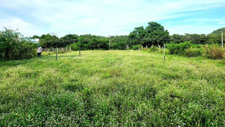 Bán đất 10000m² ngang 50m giá 790 triệu tại Xã Phan Thanh Huyện Bắc Bình